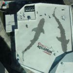 Toronto: Aquarium von oben